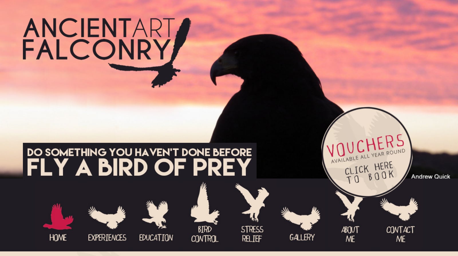 Falconry Website Design in Cornwall, part 1 of 3