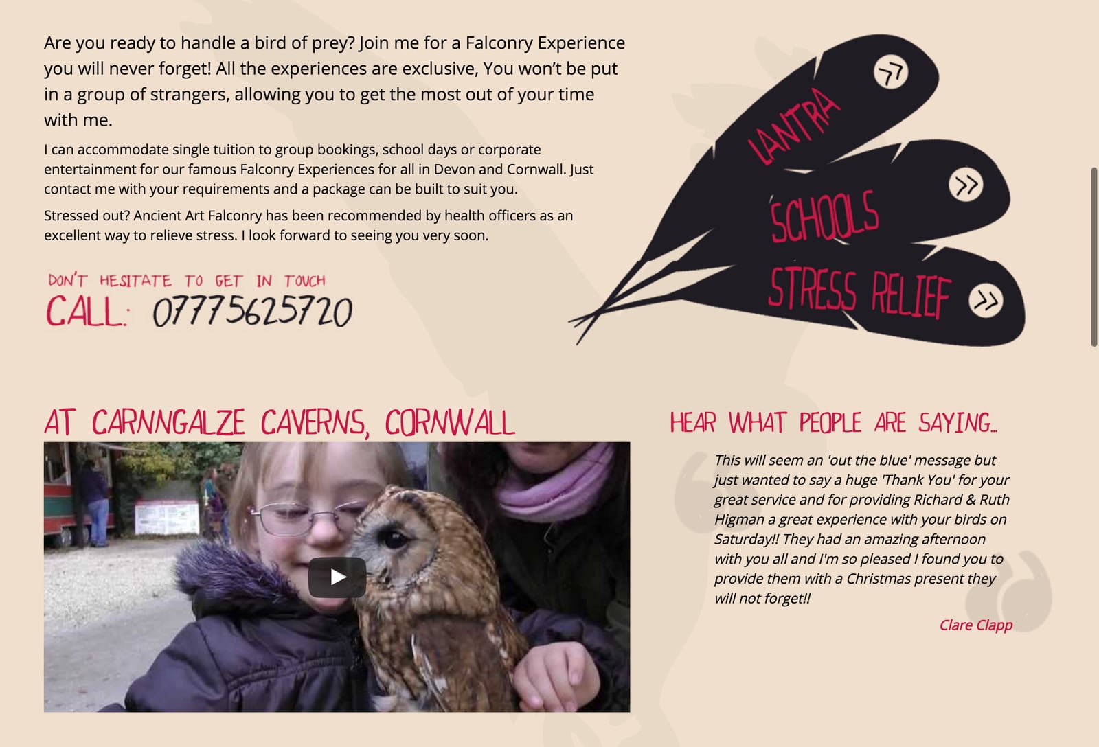 Falconry Website Design in Cornwall, part 2 of 3