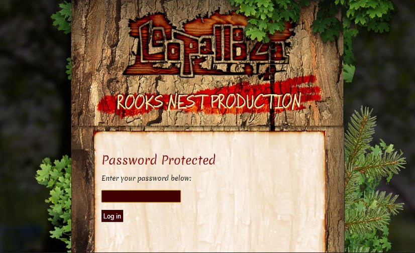 Graphic Designs and Website Development for Leopallooza, part 2 of 3