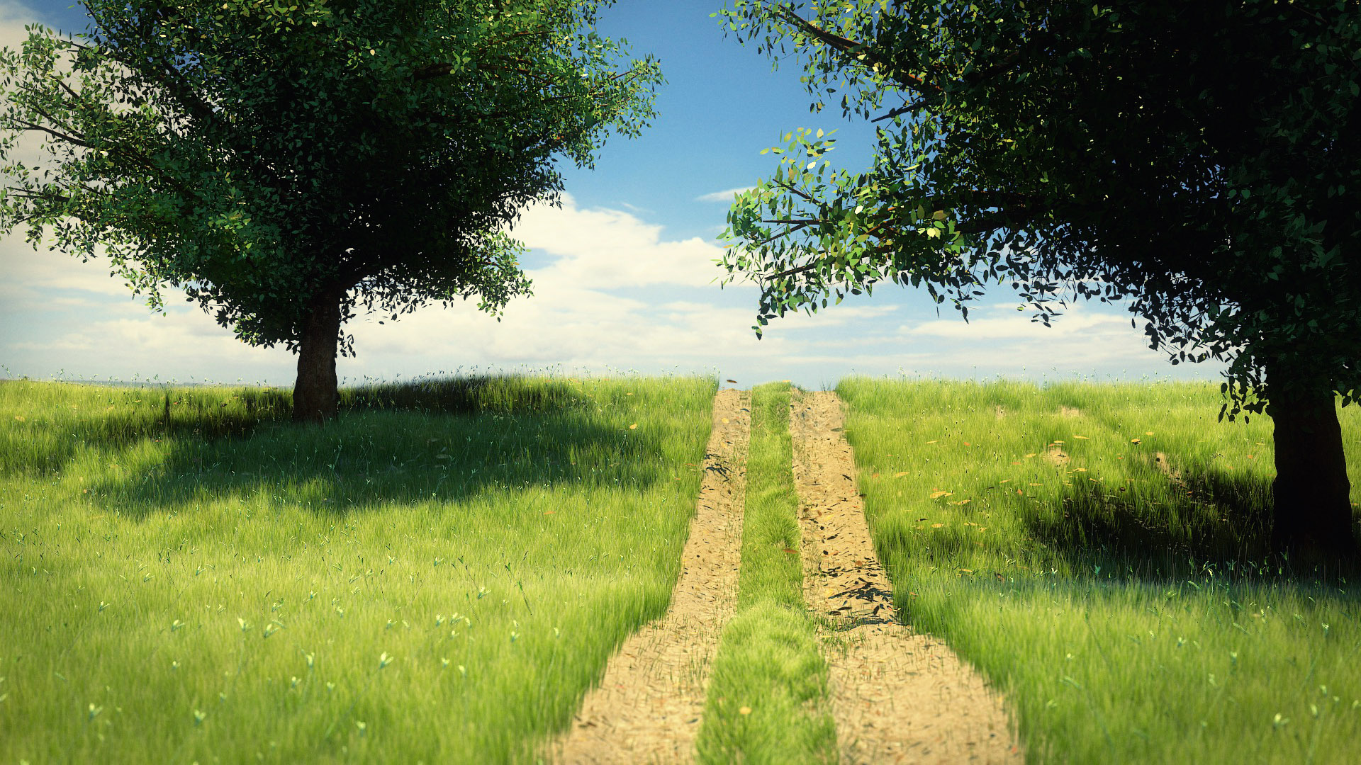Sunny Visualisation Scene Designs Of Bude, Cornwall