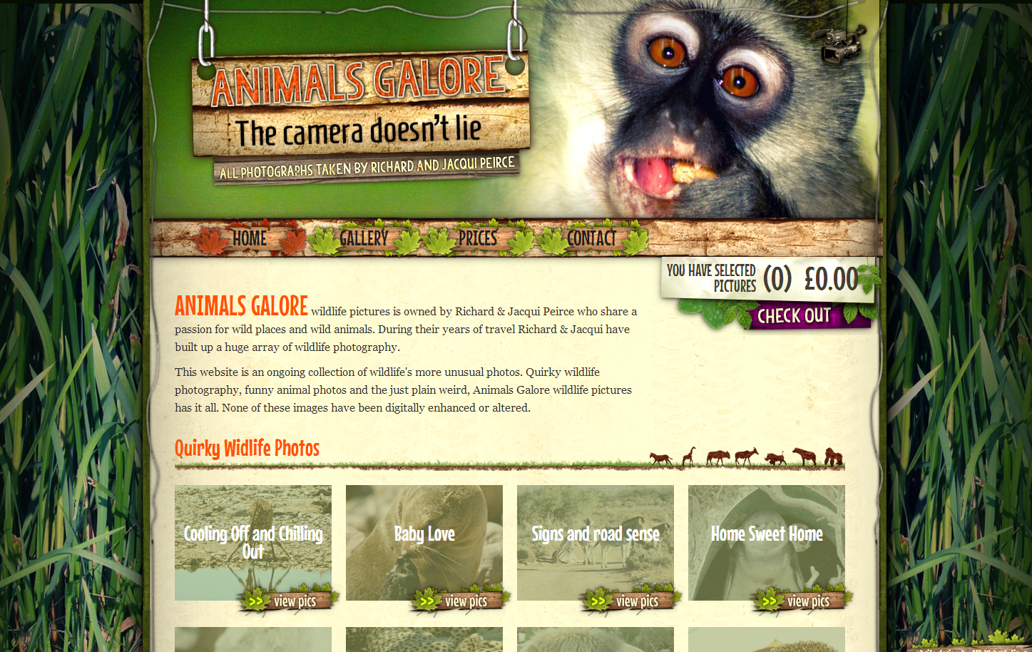 Wildlife Photography Website Design and Development in Cornwall